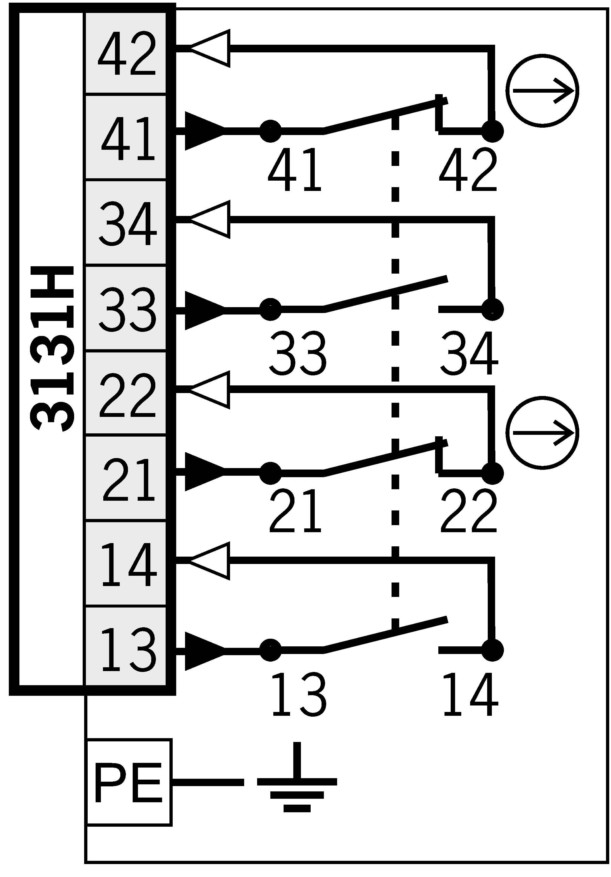 NZ1RS-3131-M-EX