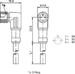 Plano de dimensiones