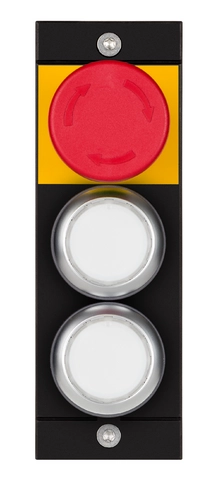 MSM-1-P-CA-APP-E3-163119 (Order no. 163119)