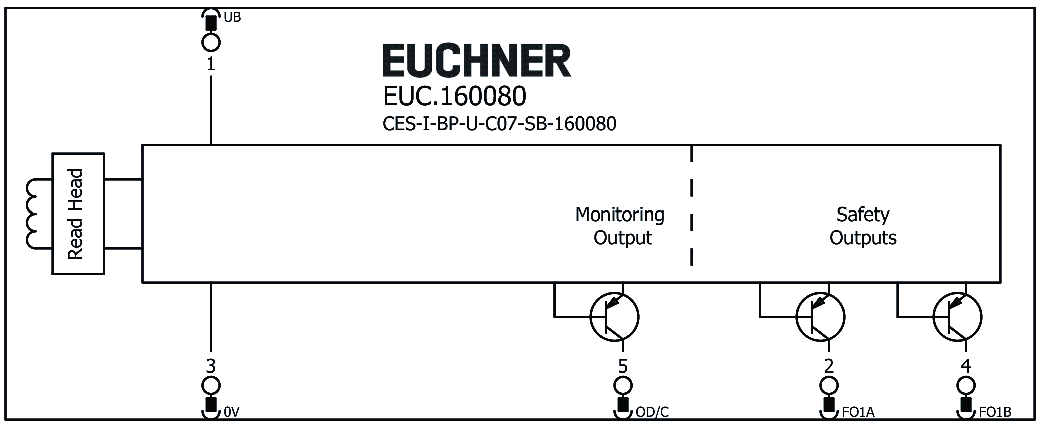 Exemplos de conexão