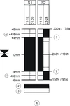 Travel diagram